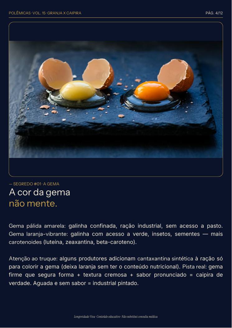 Página 4 — amostra