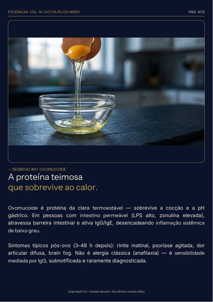 Página 4 — amostra