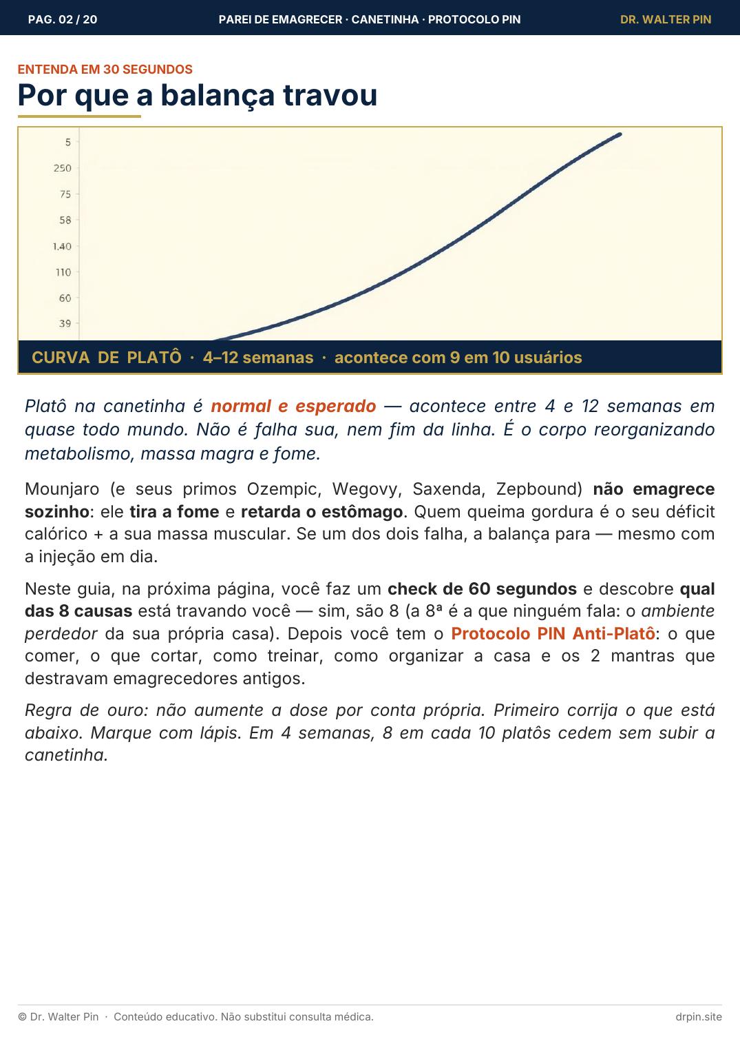 Página 2 — amostra