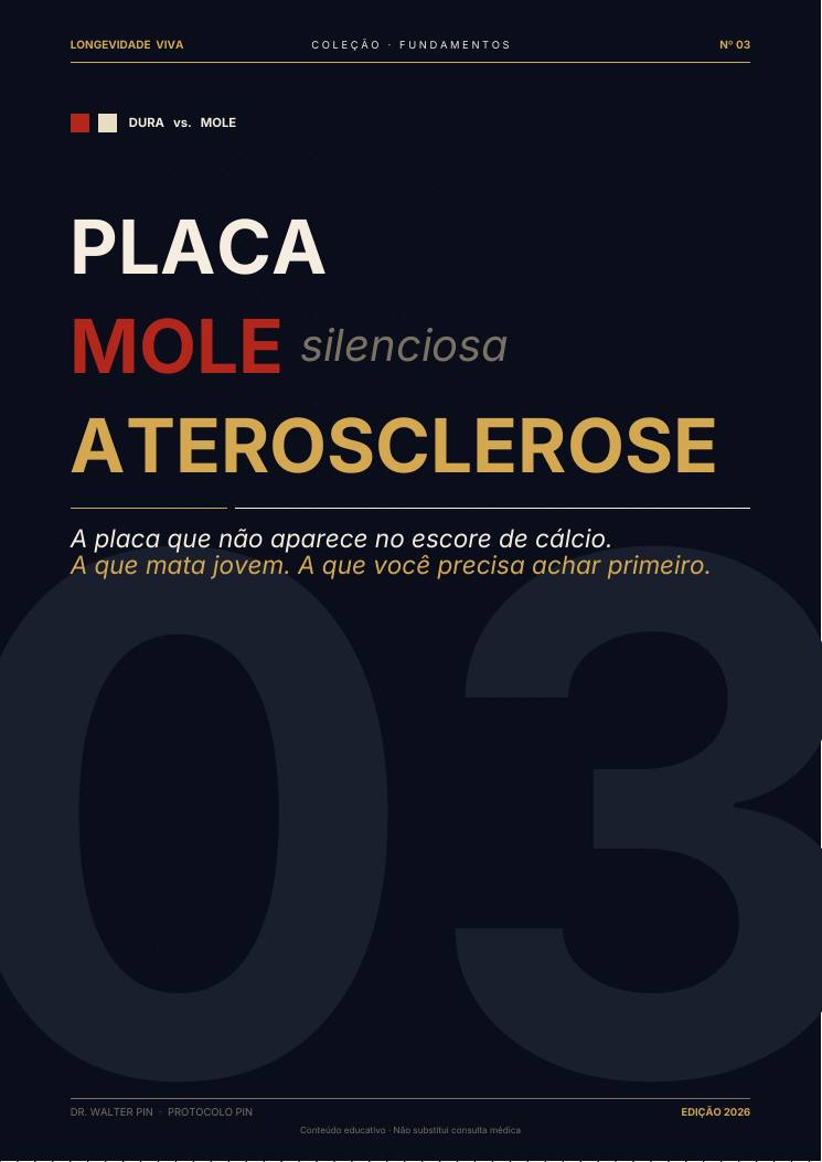 Capa — amostra