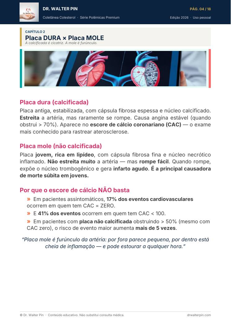 Página 4 — amostra