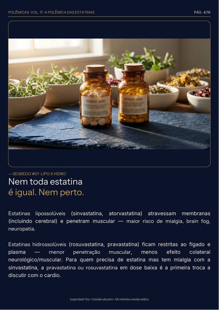 Página 4 — amostra