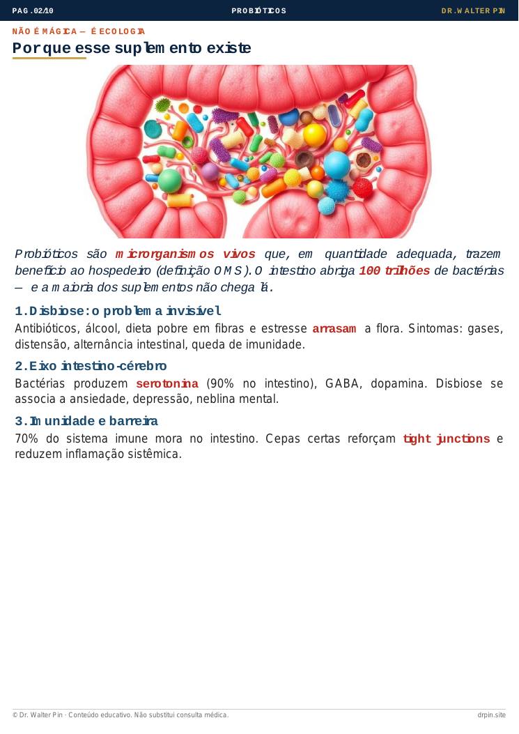 Página 2 — amostra