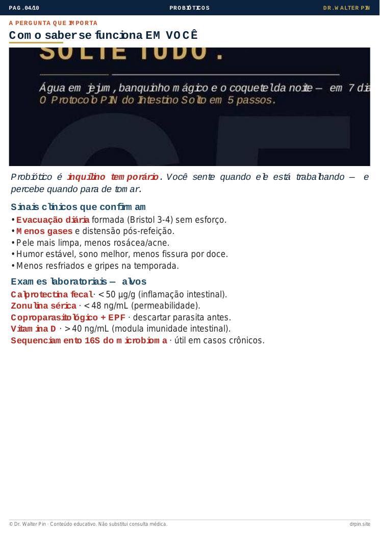 Página 4 — amostra