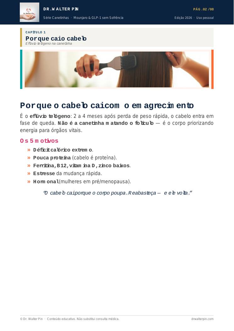 Página 2 — amostra
