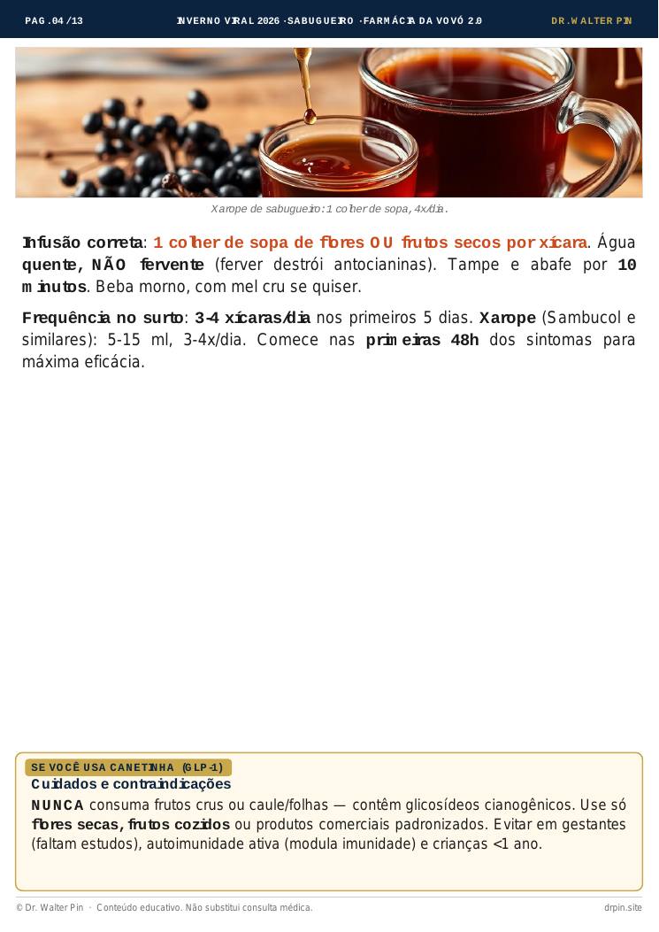 Página 4 — amostra