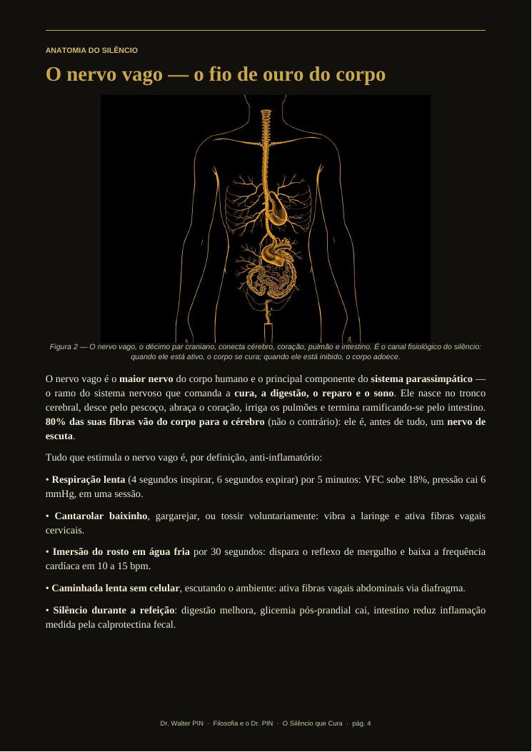 Página 4 — amostra