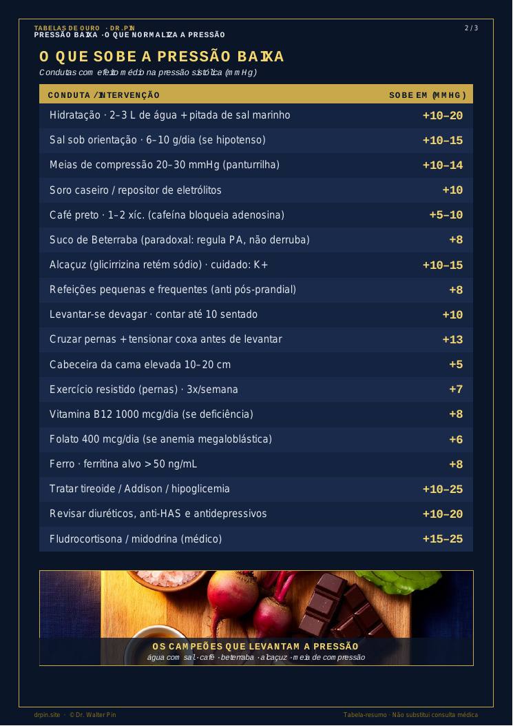 Página 2 — amostra