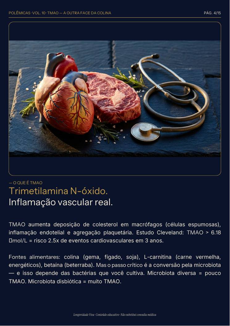 Página 4 — amostra