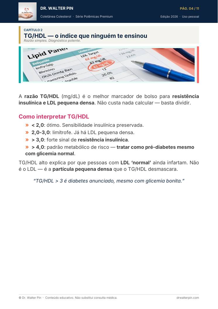 Página 4 — amostra
