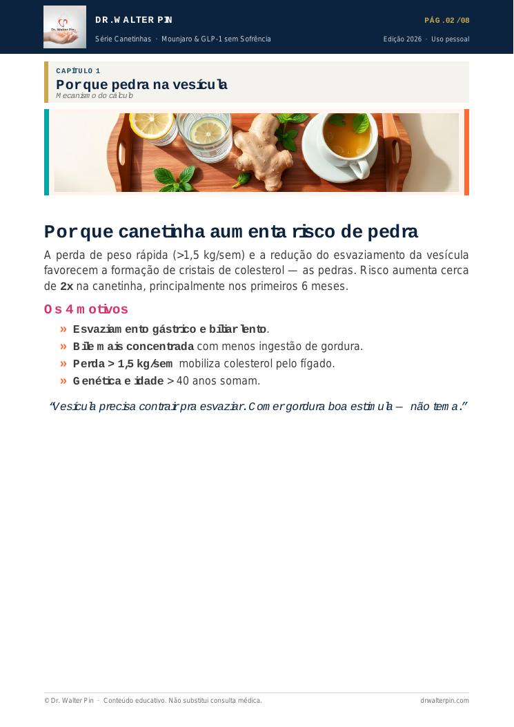 Página 2 — amostra