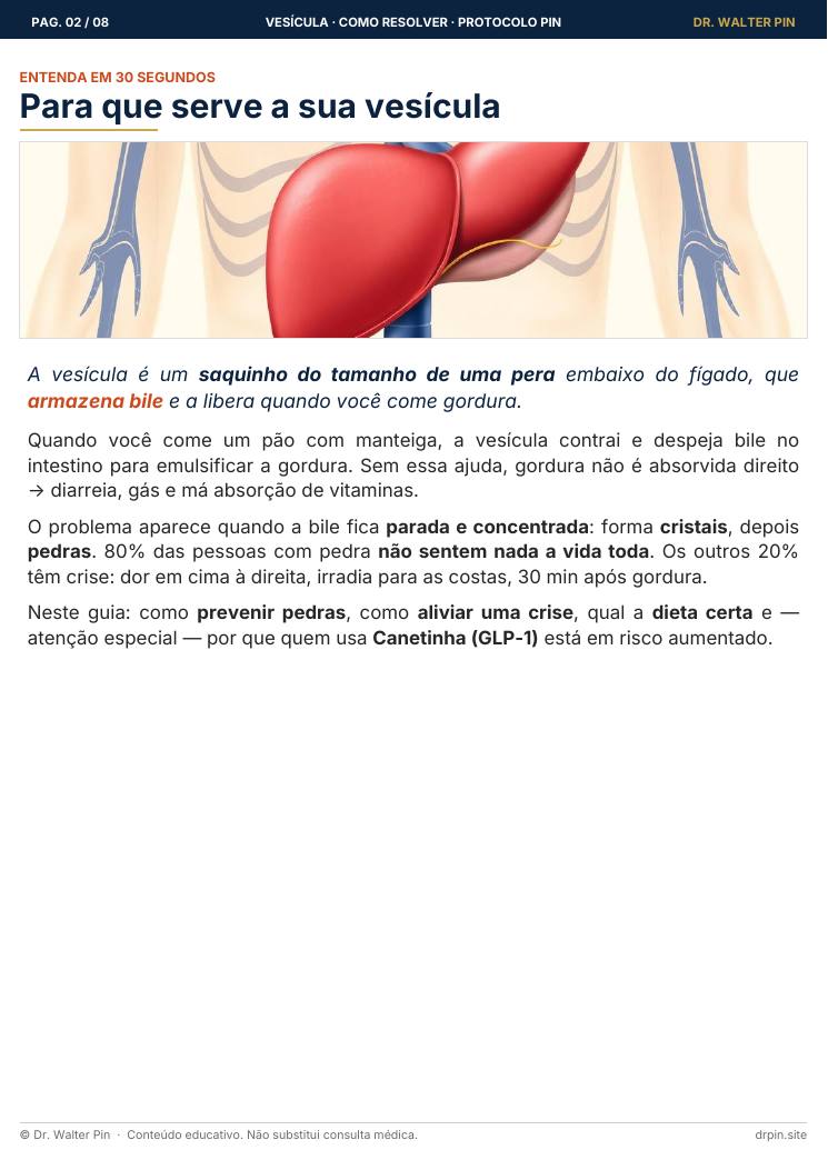 Página 2 — amostra