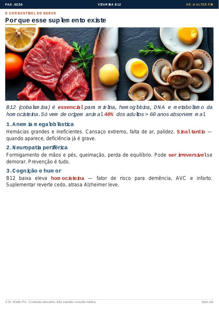 Página 2 — amostra