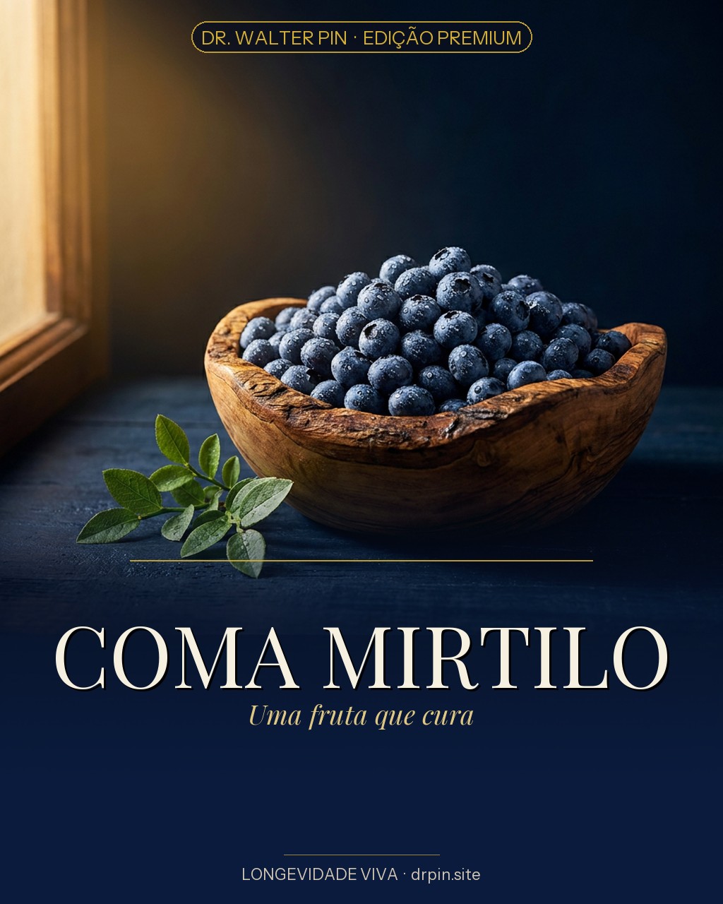 Capa: COMA MIRTILO — UMA FRUTA QUE CURA